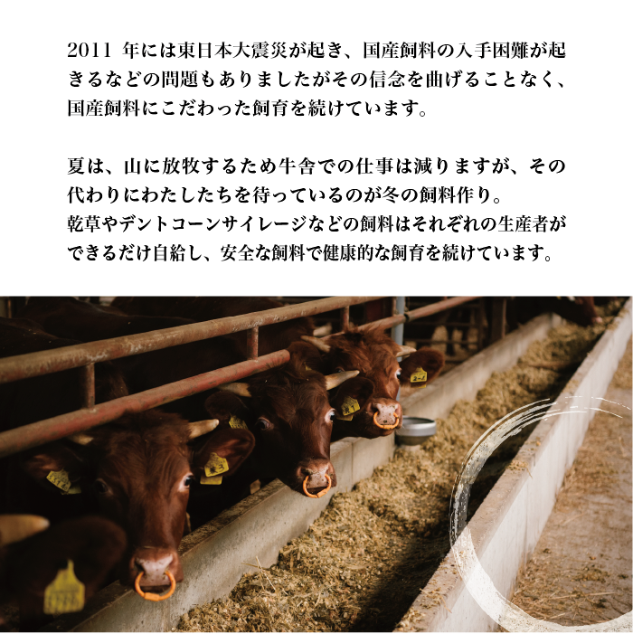 国産飼料100％で育てた 山形村短角牛「厚切り！肩ロースステーキ300g