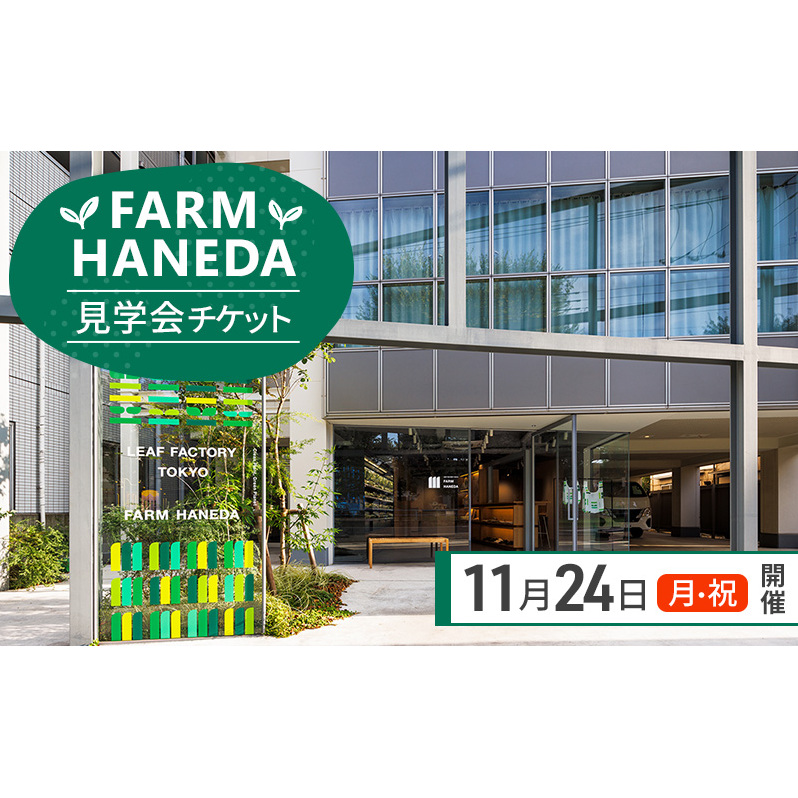 チケット 東京 【11/24(月・祝)開催】FARM HANEDA見学会チケット 見学 収穫 体験 体験チケット 植物工場 野菜 栽培 レタス ラディッシュ サラダホウレンソウ 大田区 東京都