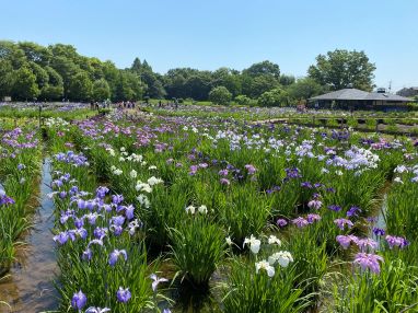東京都東村山市