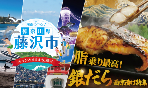 神奈川県藤沢市