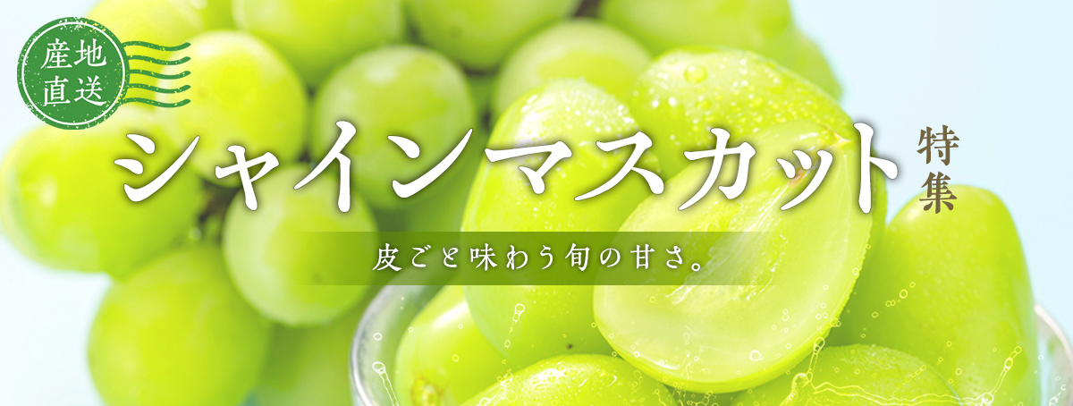 産地直送！皮ごと味わう旬の甘さ『シャインマスカット特集』
