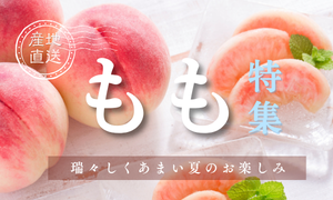産地直送！旬のおいしさ『桃特集』