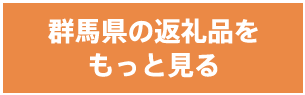 群馬県の返礼品をもっと見る