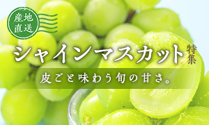 産地直送！皮ごと味わう旬の甘さ『シャインマスカット特集』