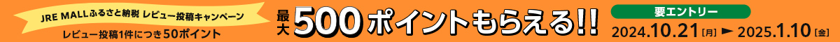 レビュー投稿キャンペーン