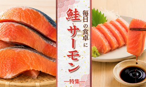 毎日使える鮭・サーモン特集