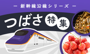 山形新幹線つばさ沿線の返礼品｜停車駅ごとに地域の魅力を探せる特集