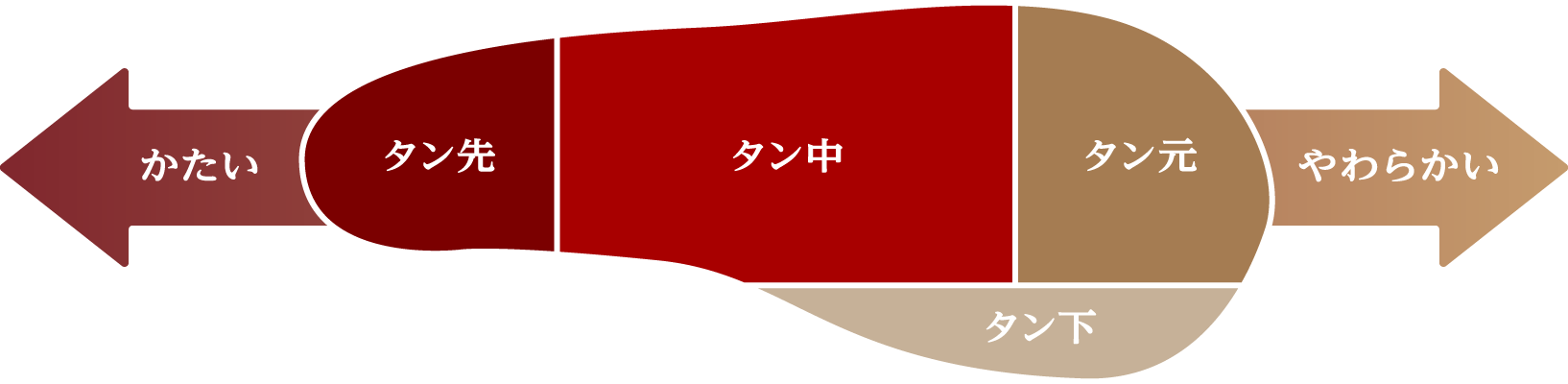 タンの種類についての図