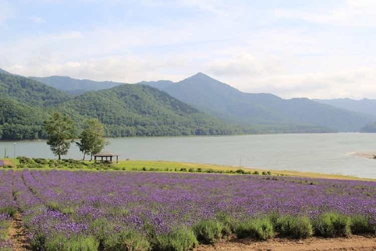 北海道南富良野町