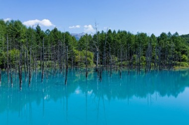 北海道美瑛町