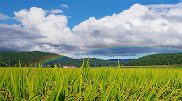 北海道深川市