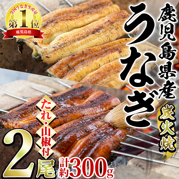 東串良町のうなぎ炭火蒲焼、白焼(無頭)2尾・計約300g