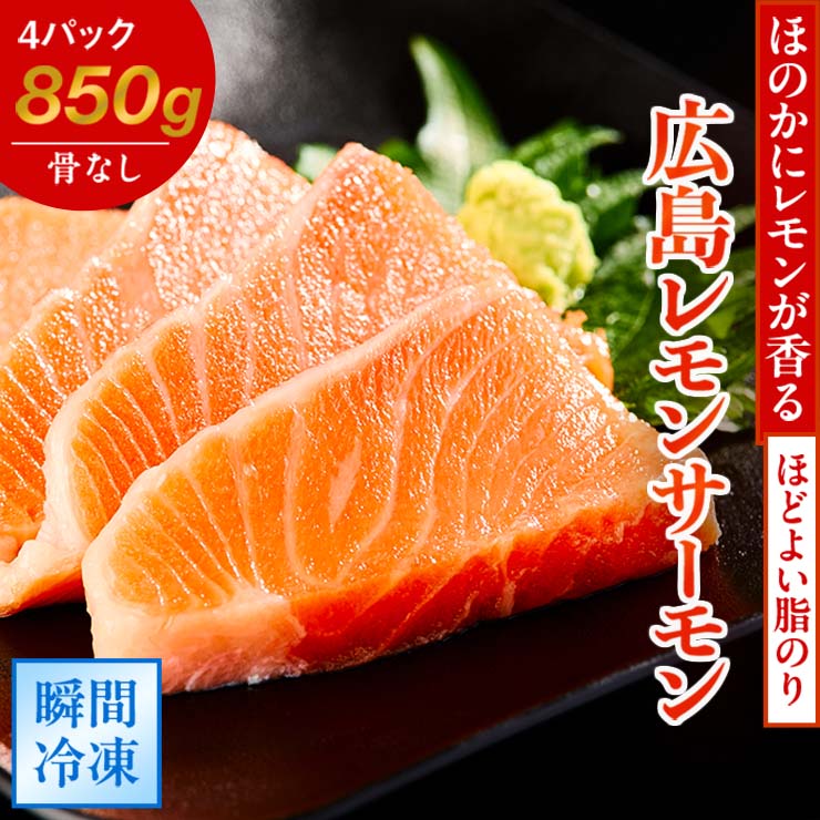 国産サーモンブロック 約850g