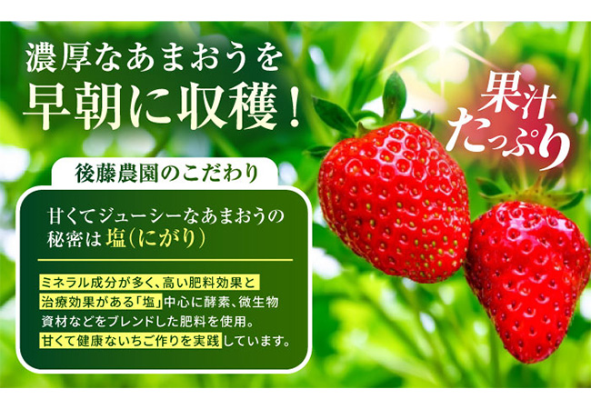 【農家直送！】【2024年12月より順次発送】糸島産あまおう 280g×2パック (DXおよびGサイズ) 糸島市／後藤農園 [AML001]