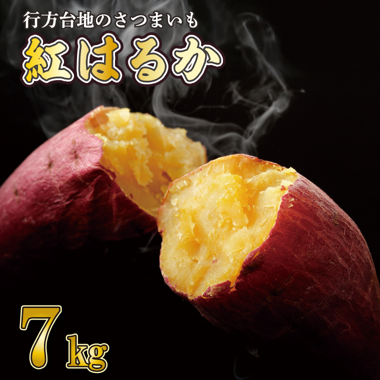 【JRE限定】《先行予約》紅はるかの画像