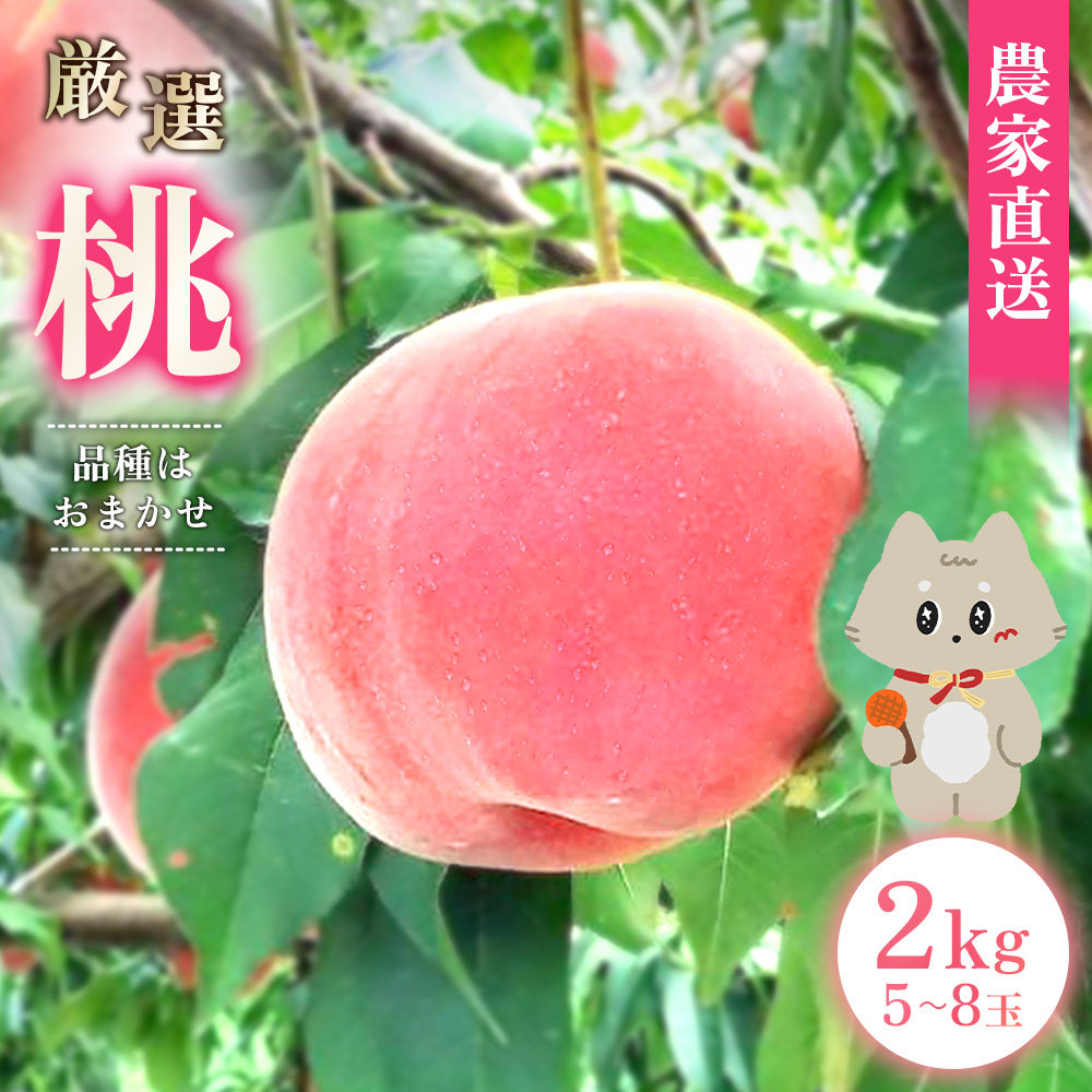 厳選 桃の画像