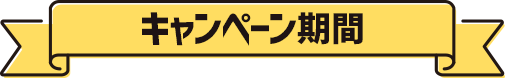 キャンペーン期間