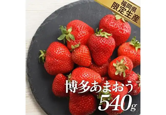 商品イメージ