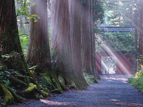 自治体説明画像