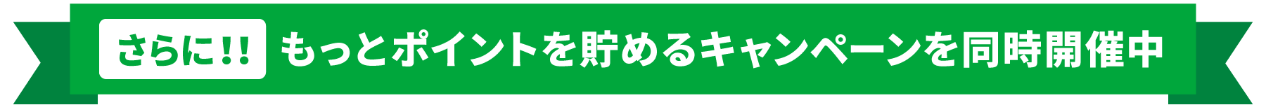 さらに！！もっとポイントが貯まるお得な期間