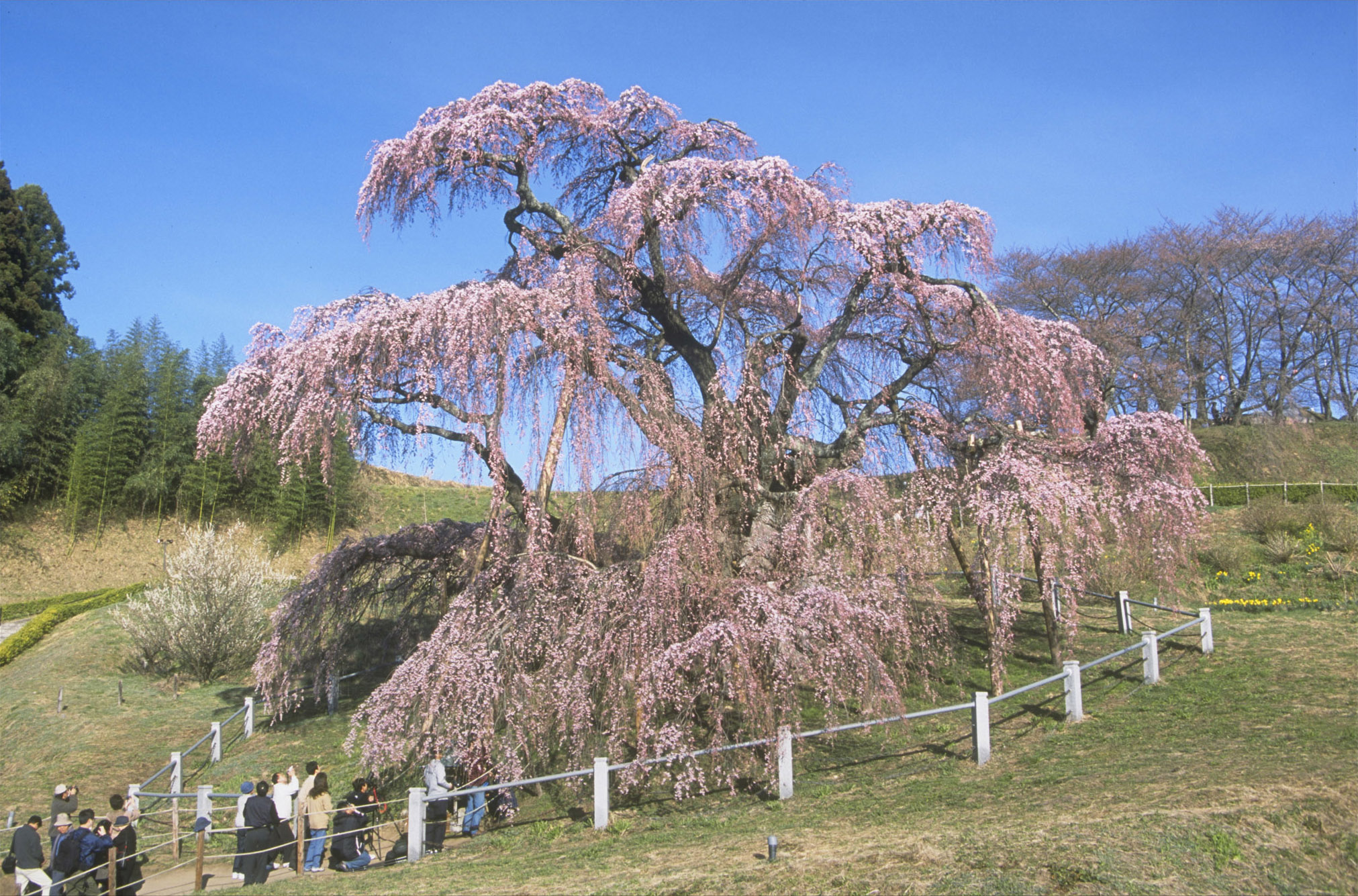 福島県　イメージ