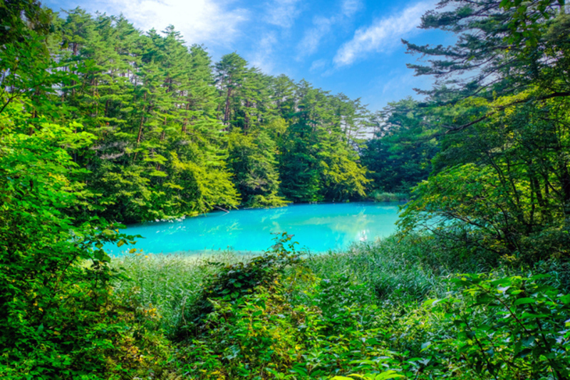 福島県の避暑地