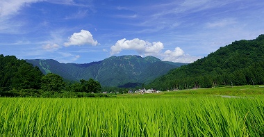 新潟県南魚沼市