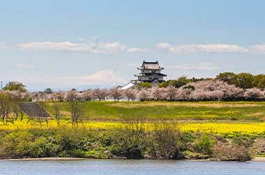 茨城県境町