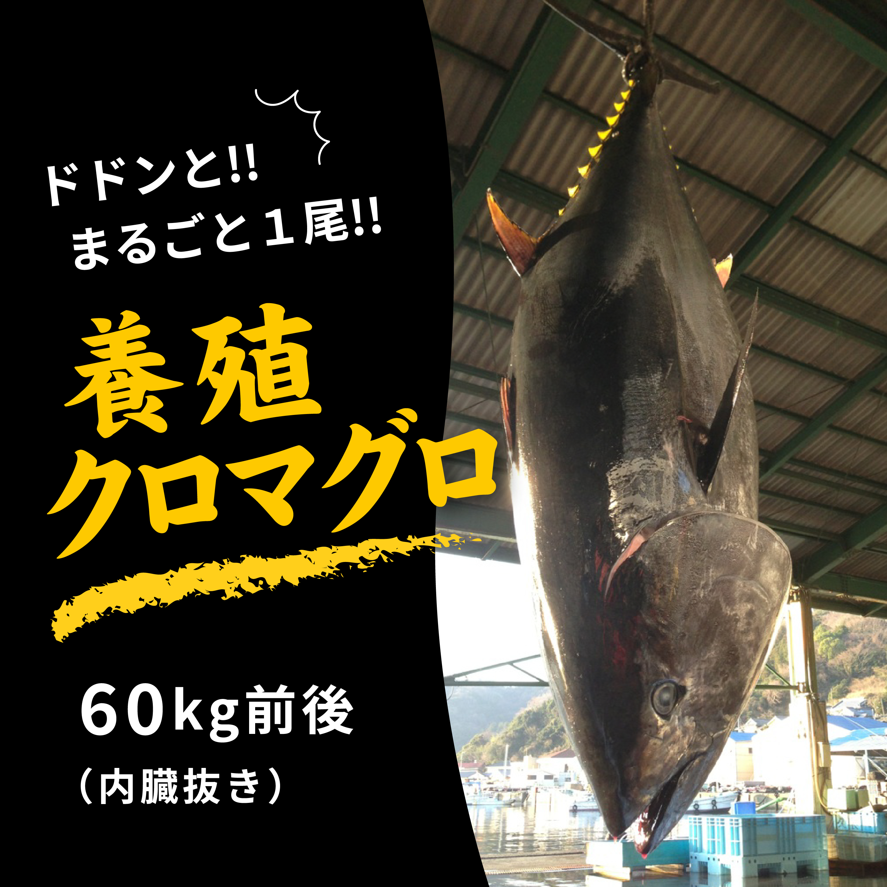 ふるさと納税で高額寄付！どんな返礼品がある？ジャンル別紹介