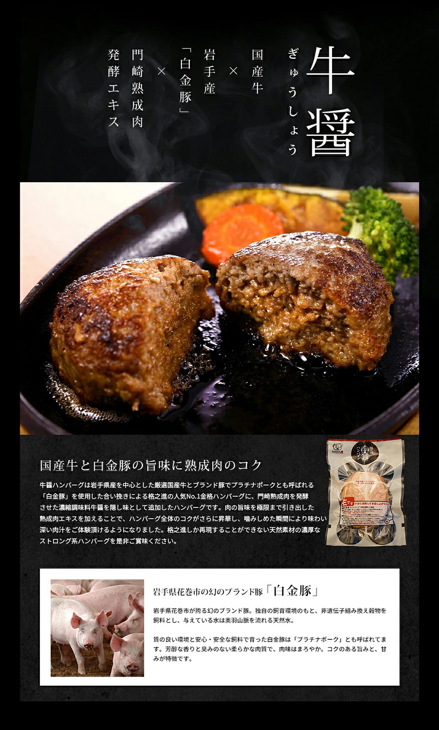 バナーイメージ