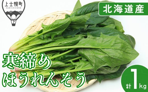 kCY  ق񂻂 v1kg kC my {c_  Yn 2025N12{Jn\ m010-V71n IC\ΉkCmy10000؁Ê̑ 