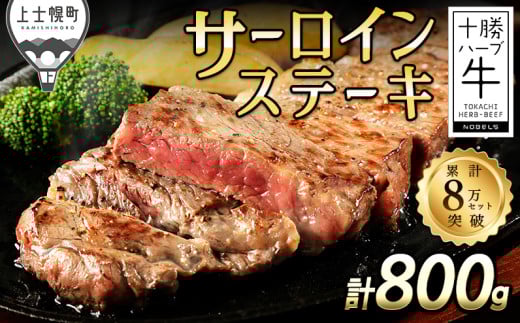 \n[u T[C Xe[L v800gi200g×4j kCY    Ԑg Y |𓦂ȂXLpbN Lv AEghA o[xL[ BBQ Ⓚ m032-H60n IC\