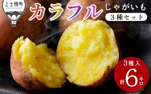 kCY Jt Ⴊ 3Zbg v6kgi2kg×3j kC my _  WKC n鏒 Yn p2t 2025N12z\ m009-V71n IC