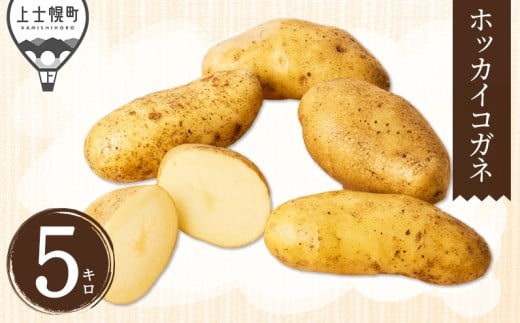 kCY VႪ zbJCRKl 5kg kC my {c_  Ⴊ WKC n鏒 kC Yn m008-V72n IC\ΉkCmy8000؁Ê