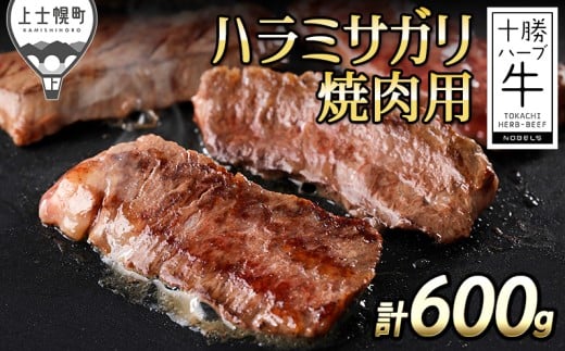 \n[u n~TK Y ē v600g kCY    Ԑg Lv AEghA o[xL[ BBQ |𓦂ȂXLpbN Ⓚ m038-H70n IC\ΉkC