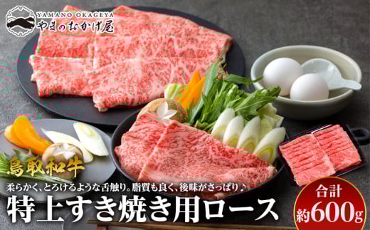 34.鳥取和牛 特上すき焼き用ロース 約600g【国産 鳥取和牛 和牛 焼肉 肉 にく ステーキ 鳥取県 北栄町 おすすめ 人気】鳥取県北栄町30000肉牛肉