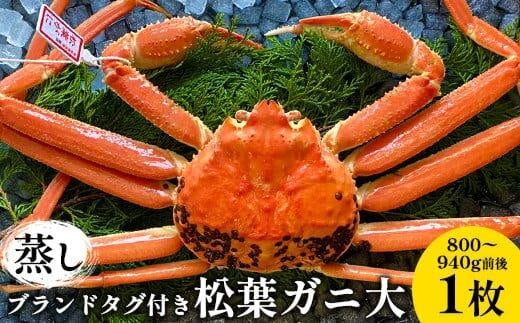 110.【先行予約】【蒸し】ブランドタグ付き松葉ガニ 大 800〜940g前後 1枚 ※2025年11月上旬〜2026年3月上旬頃に順次発送予定【松葉ガニ 松葉蟹 蟹 かに 甲殻類 ズワイガニ 鳥取県 北栄町 おすす