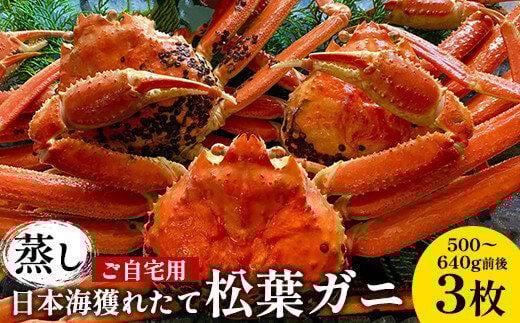 114.【先行予約】【蒸し】訳あり ご自宅用 日本海獲れたて松葉ガニ 500〜640g前後 3枚 ※2025年11月上旬〜2026年3月上旬頃に順次発送予定【家庭用 松葉ガニ 松葉蟹 蟹 かに 甲殻類 ズワイガニ