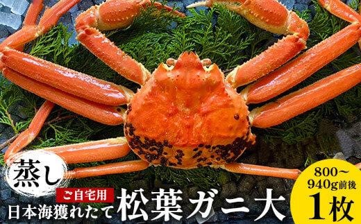 116.【先行予約】【蒸し】訳あり ご自宅用 日本海獲れたて松葉ガニ 大 800〜940g前後 1枚 ※2025年11月上旬〜2026年3月上旬頃に順次発送予定【家庭用 松葉ガニ 松葉蟹 蟹 かに 甲殻類 ズワイガニ