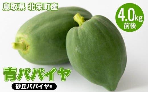 354.青パパイヤ(砂丘パパイヤ)4.0kg前後 ※2025年9月中旬〜11月下旬頃に順次発送予定 ※離島への配送不可 |パパイヤ トロピカルフルーツ 果物 フルーツ 南国フルーツ 野菜 健康的 鳥取県 北