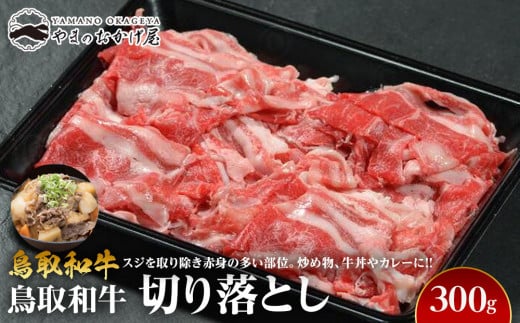 720.鳥取和牛切り落とし(300g)鳥取県北栄町10000肉牛肉
