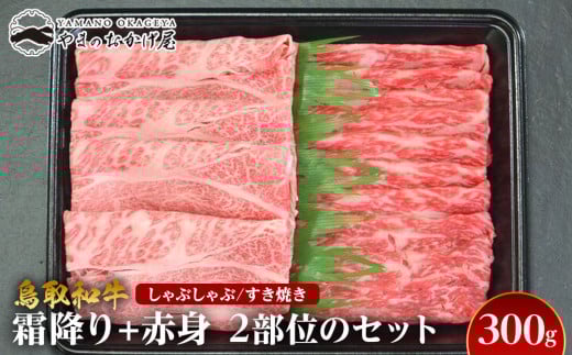 725.a~Ԑg2̕ʂ̂ԂԂĂi300gj挧kh13000
