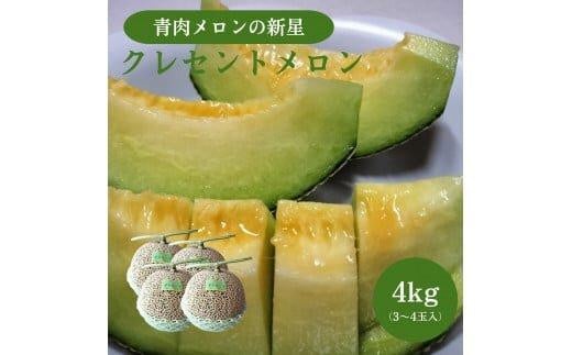 785.【先行予約】青肉メロンの新星「クレセントメロン」うれしい!3~4玉入 ※2026年7月中旬より順次発送鳥取県北栄町20000果物・フルーツメロン・スイカ
