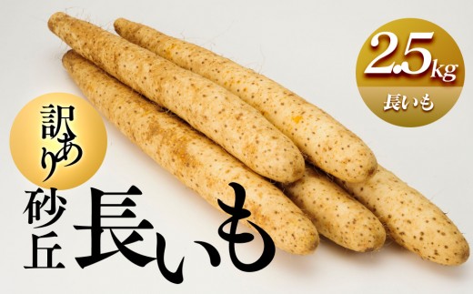 943.s󒍁y󂠂zu2.5kg   Ȃ 挧Y 11{`3{ɏ\y ₳  Ƃ    挧 kh  lC z挧