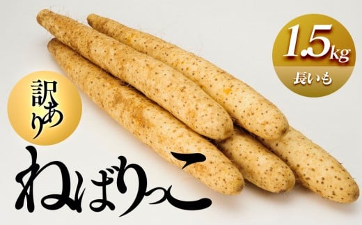 942.s󒍁y󂠂z˂΂1.5kg  Ȃ 挧Y Ԍ11{4{ɏ\y ₳  Ƃ    挧 kh  lC z