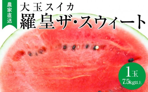 【2026年産先行予約】大玉スイカ『羅皇ザ・スウィート』(こちらの西瓜は大栄西瓜ではありません) ◇2025年7月上旬〜7月中旬頃に順次発送【西瓜 すいか スイカ フルーツ 果物 鳥取県 北栄