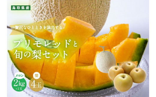 925.【ふるさと納税】【赤肉系メロン】プリモレッド (メロン) と旬の梨セット※離島への配送不可(北海道、沖縄本島は配送可能)鳥取県北栄町15000果物・フルーツメロン・スイカ