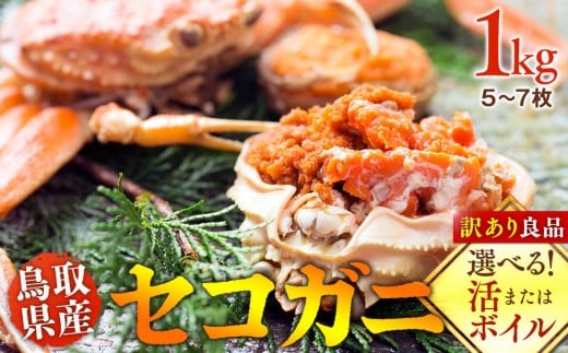 【ボイル】鳥取県産 セコガニ 訳あり良品 1kg(5〜7枚)《かに カニ 蟹 セコガニ》※2025/11/6〜2025/12/25に順次発送予定※着日指定不可  離島不可(北海道、沖縄本島は配送可能)鳥取県北栄
