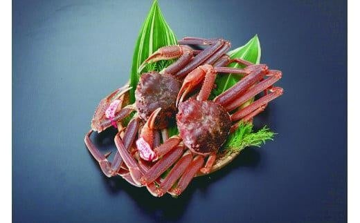 y{Cz^OttKj@22025N11{`2026N3{ɏ\蒹挧kh90000ECYJj