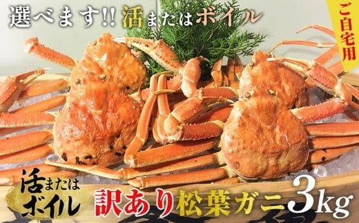 【活】訳あり 松葉ガニおまかせ3kg(5〜8枚)※2025年11月上旬〜2026年3月下旬頃に順次発送予定※着日指定不可鳥取県北栄町84000魚介・海産物カニ